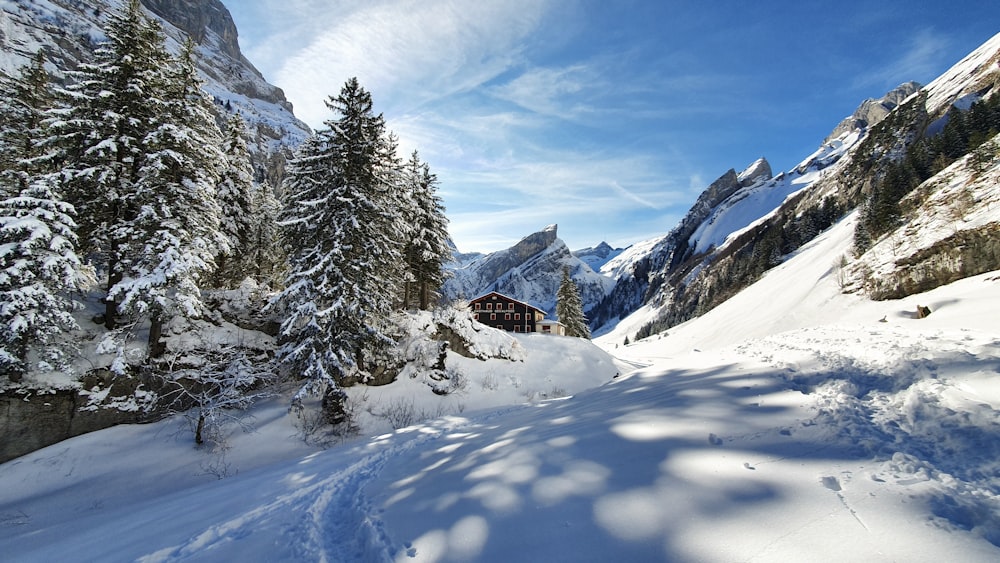 a house in the snow