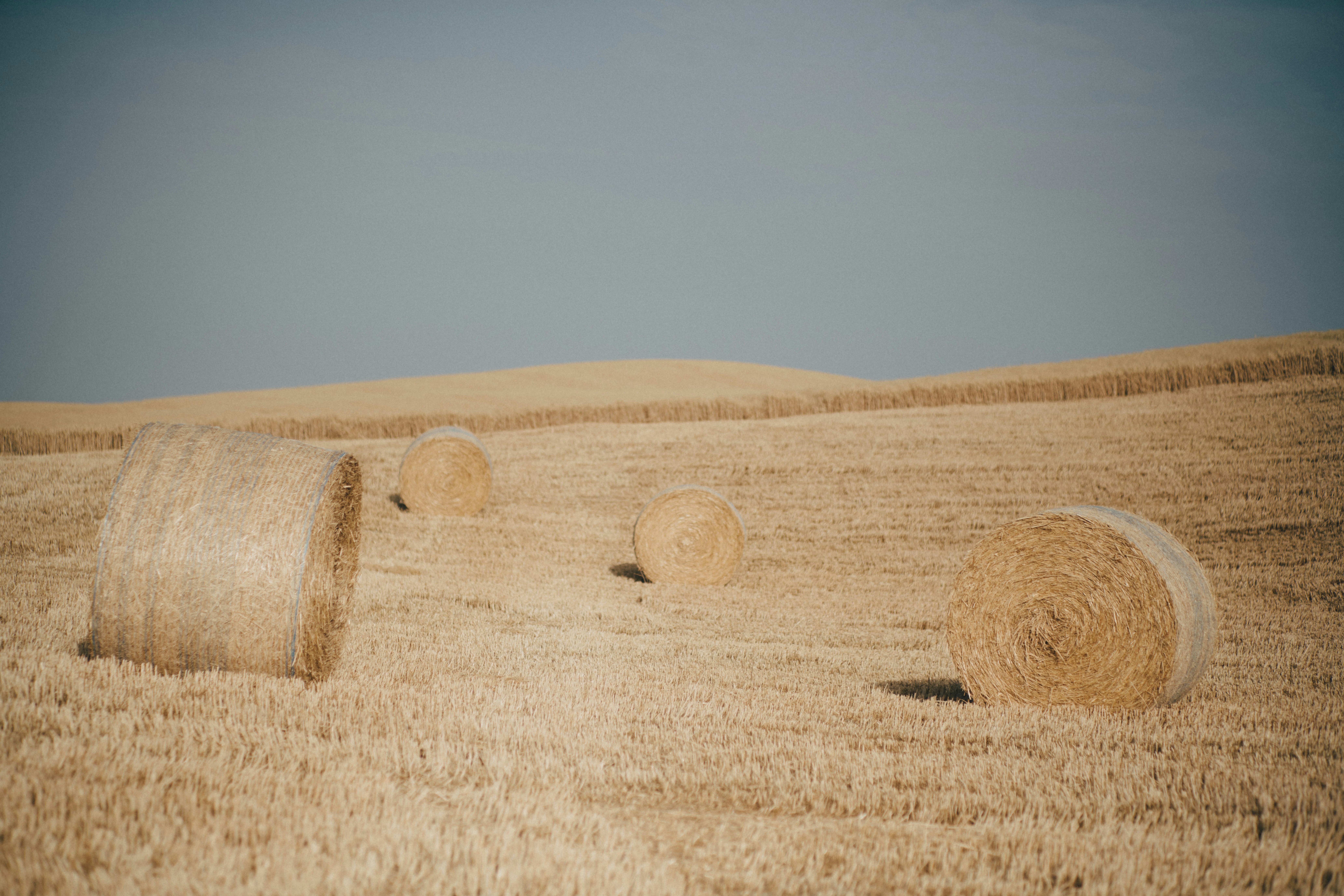 Photo by fabianbetto