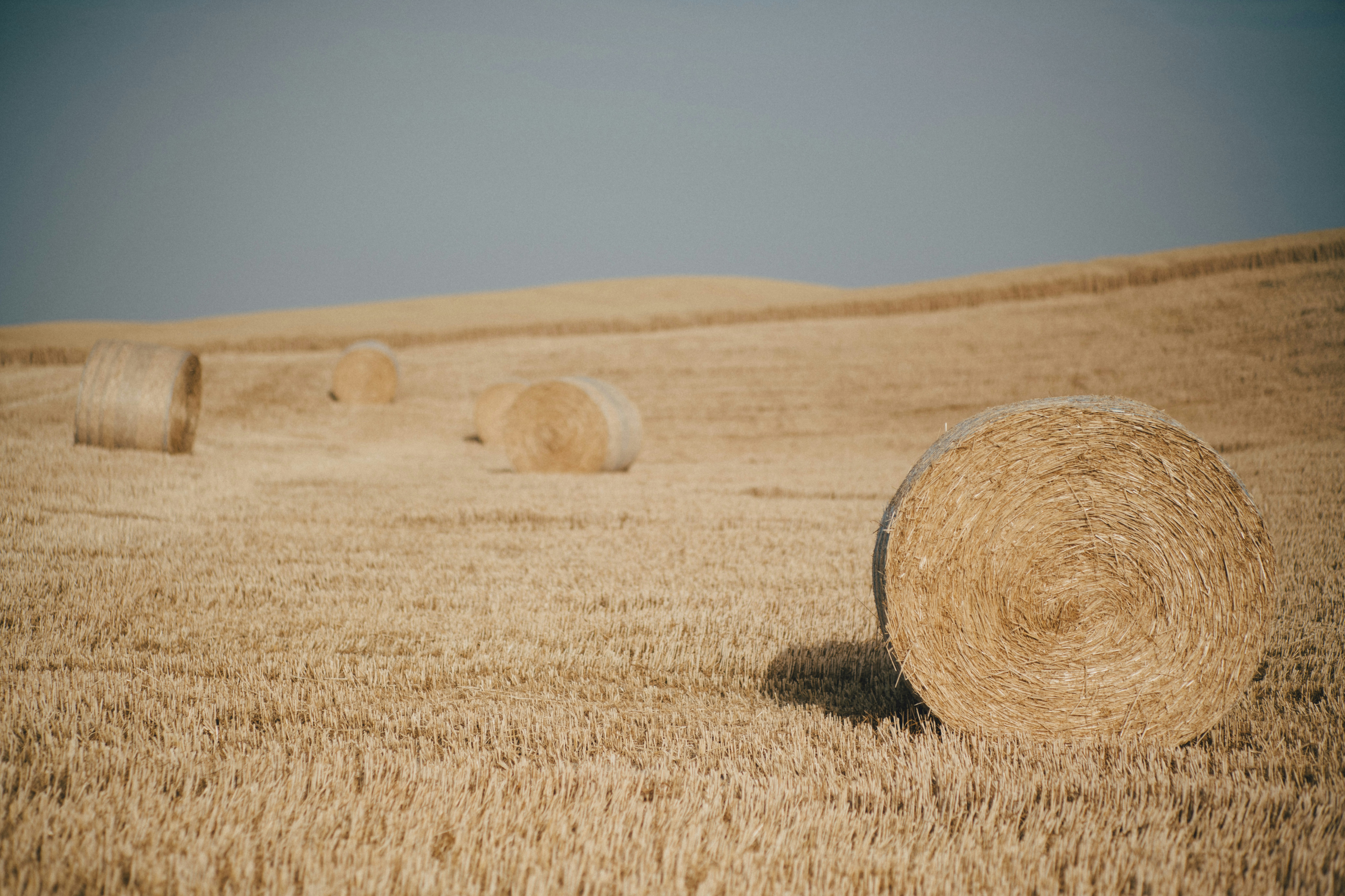 Photo by fabianbetto