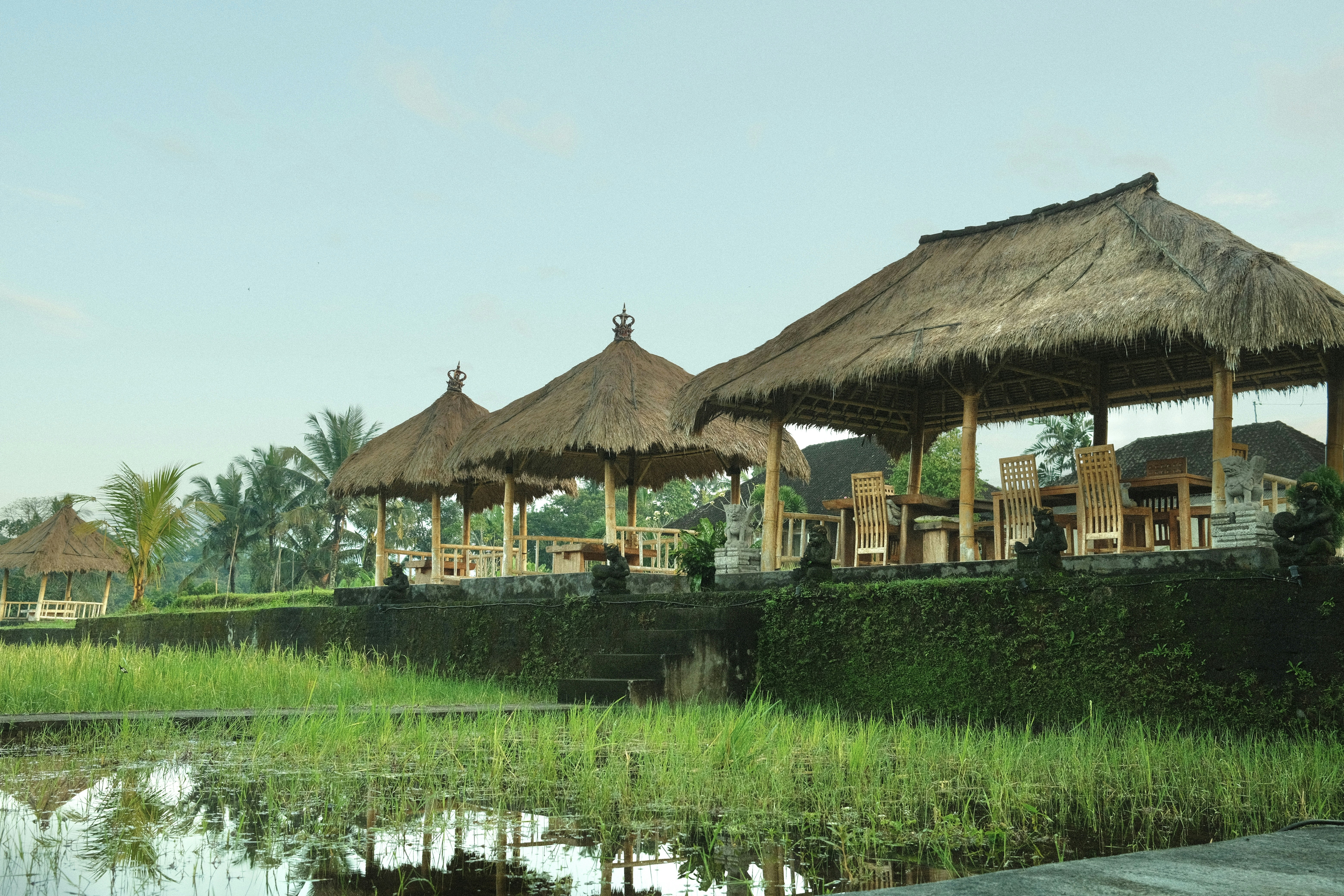 Photo by sophiepengjy