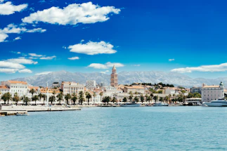 a body of water with buildings and trees by it
