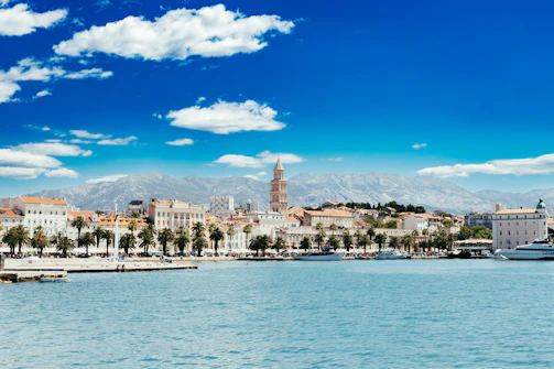 a body of water with buildings and trees by it