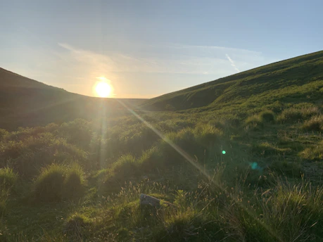 A serene landscape photo with a gentle sunrise casting warm light over rolling hills.