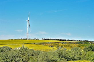 A calm rural landscape with a single wind turbine standing tall against a blue sky.