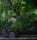 A cargo bicycle with a dark frame and an attached cargo box is parked on a street. It stands against an ornate metal fence, surrounded by lush greenery and dense foliage. The vibrant green leaves of the trees and bushes form a canopy and provide a serene, shaded setting, partially illuminated by sunlight.