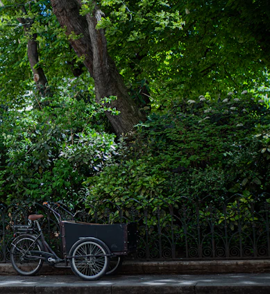 A vibrant bike taxi carrying parcels and food boxes passing through a calm green park setting.
