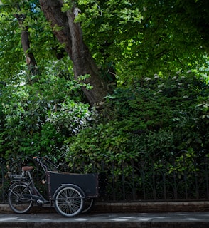 A cargo bicycle with a dark frame and an attached cargo box is parked on a street. It stands against an ornate metal fence, surrounded by lush greenery and dense foliage. The vibrant green leaves of the trees and bushes form a canopy and provide a serene, shaded setting, partially illuminated by sunlight.