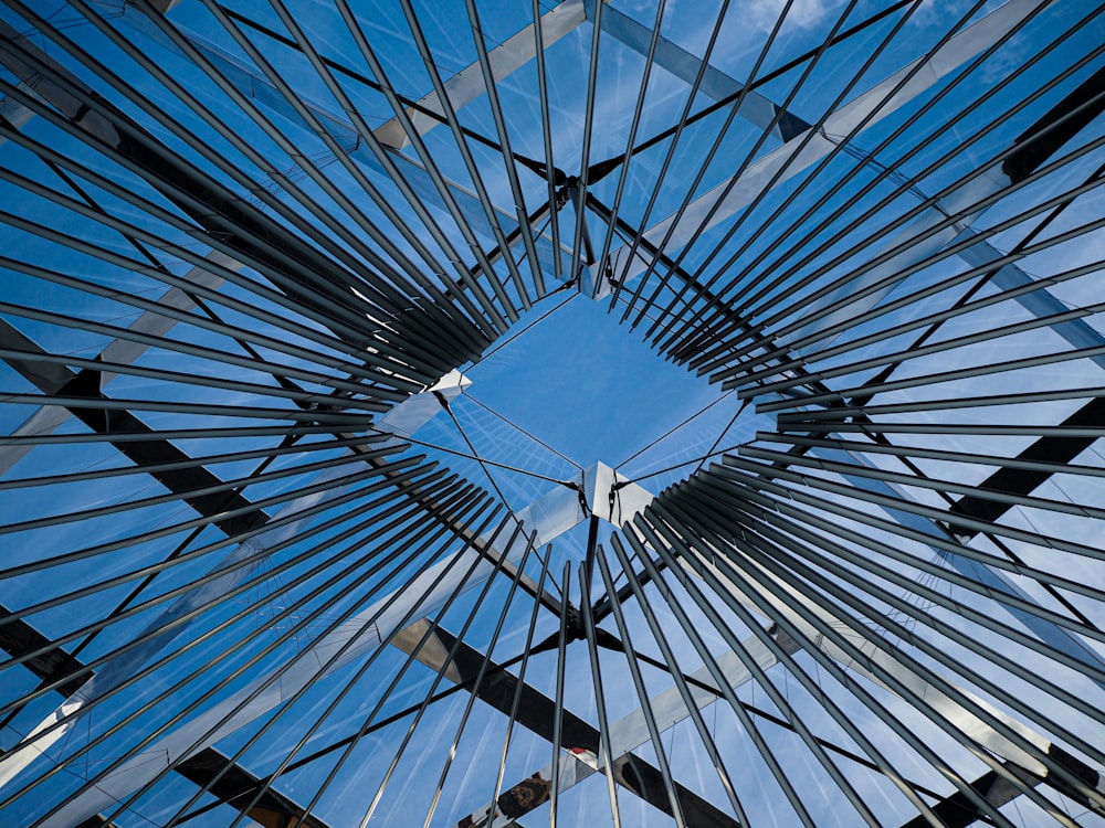 looking up at a glass ceiling