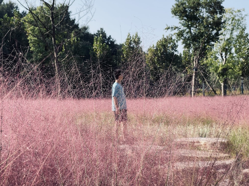 a person standing in a field of purple flowers