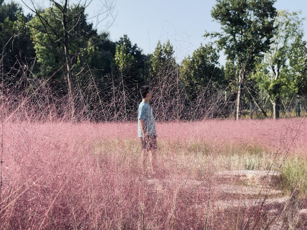 Eine Person, die in einem Feld aus lila Blumen steht