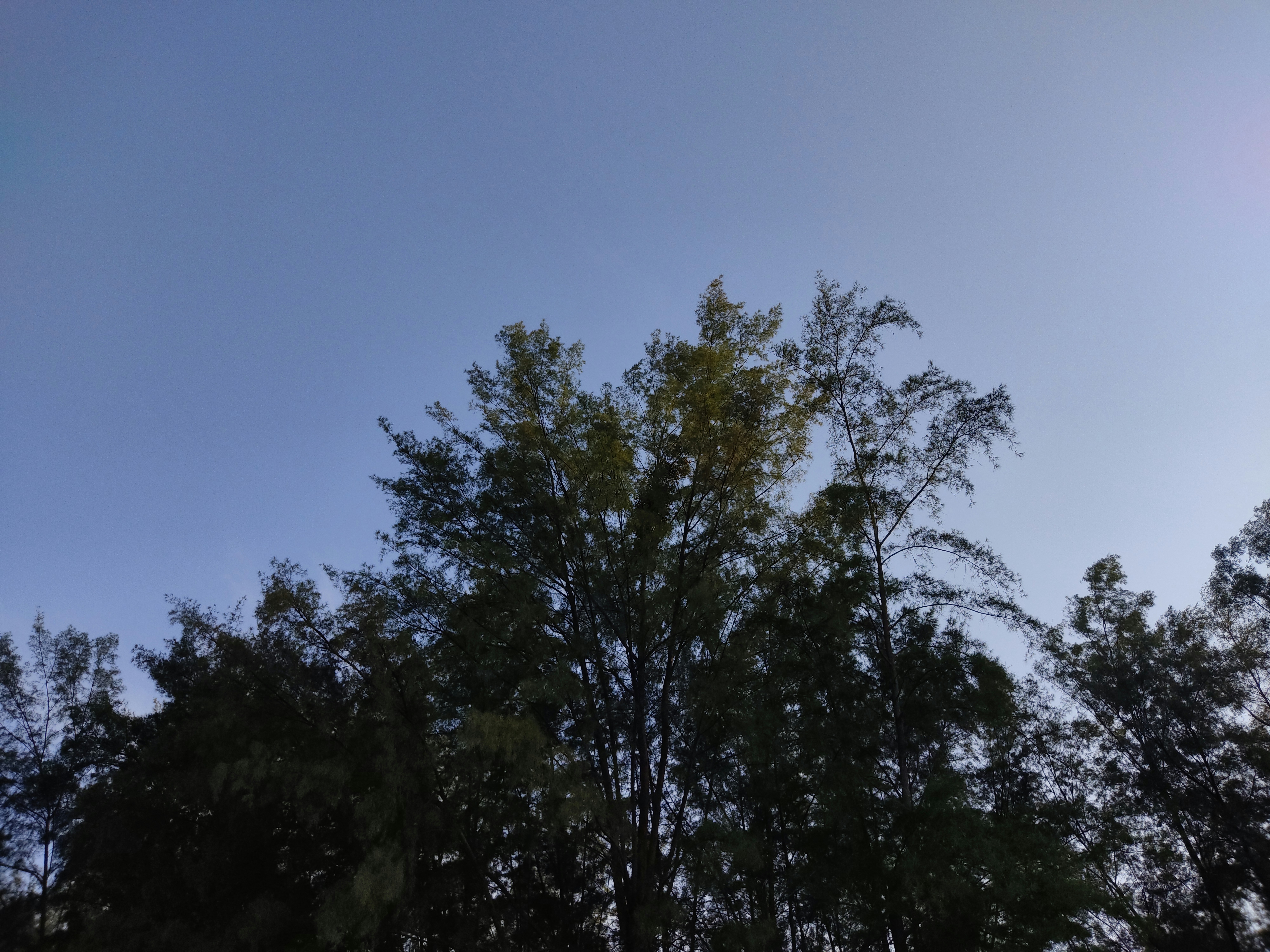 high resolution landscape, wallpaper, Ultra HD Wallpapers: Trends for High Resolution Screens 4