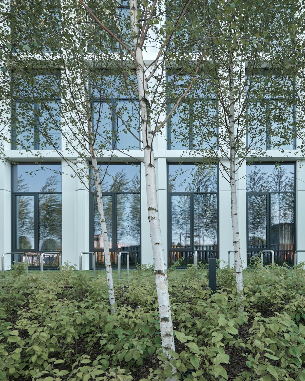 a building with trees in the front