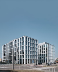 Ewa Dąbrowska Vectigal consulting