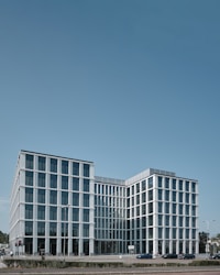 Ewa Dąbrowska Vectigal consulting