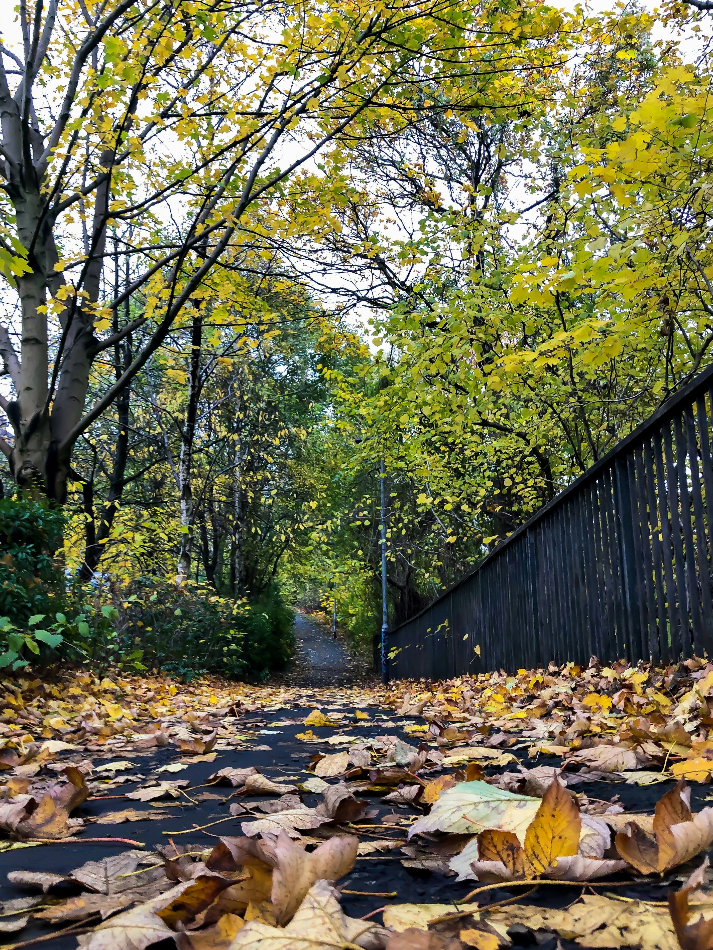 Photo by himanshusoni