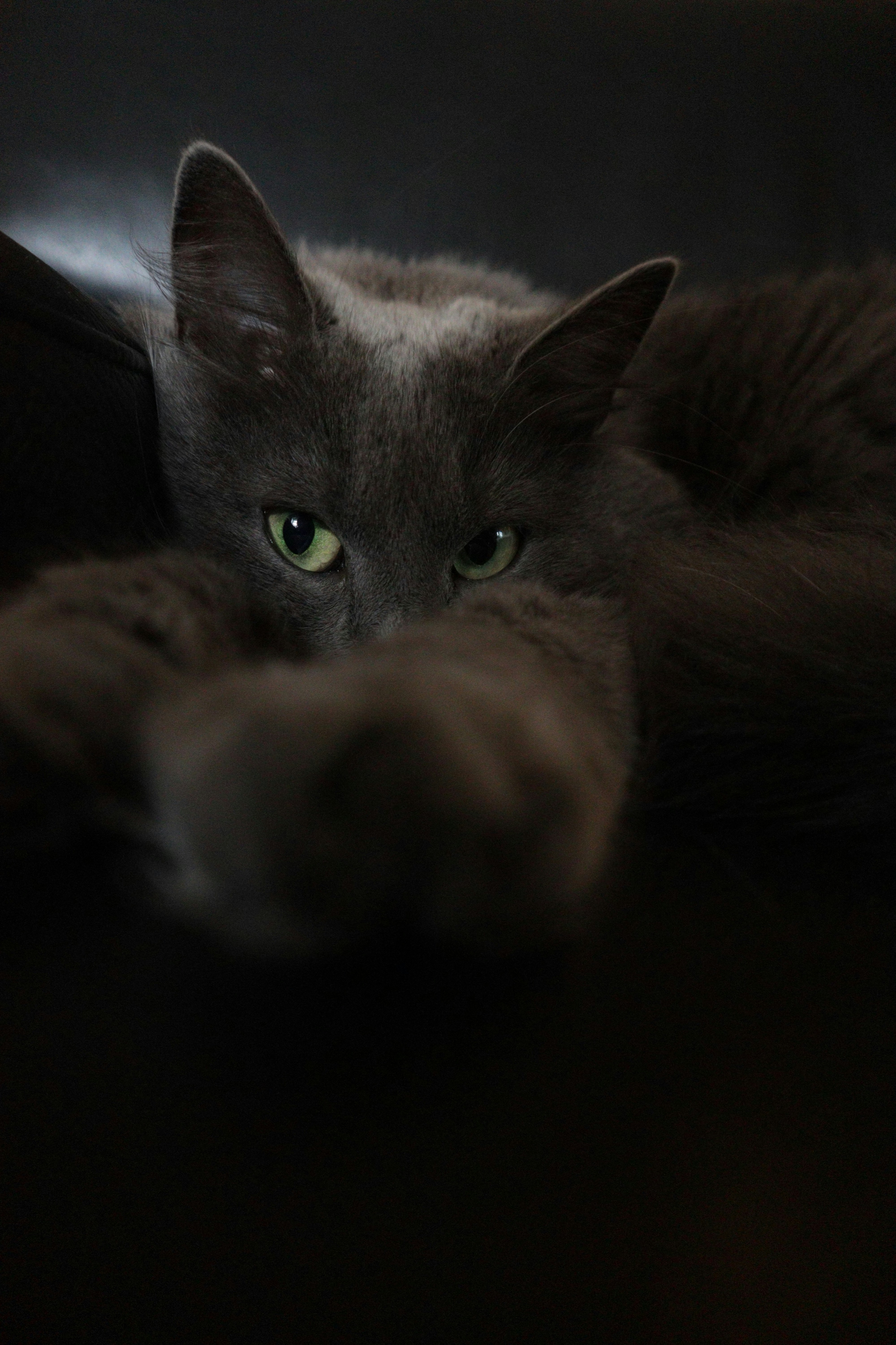 Photo by timesnewroman14