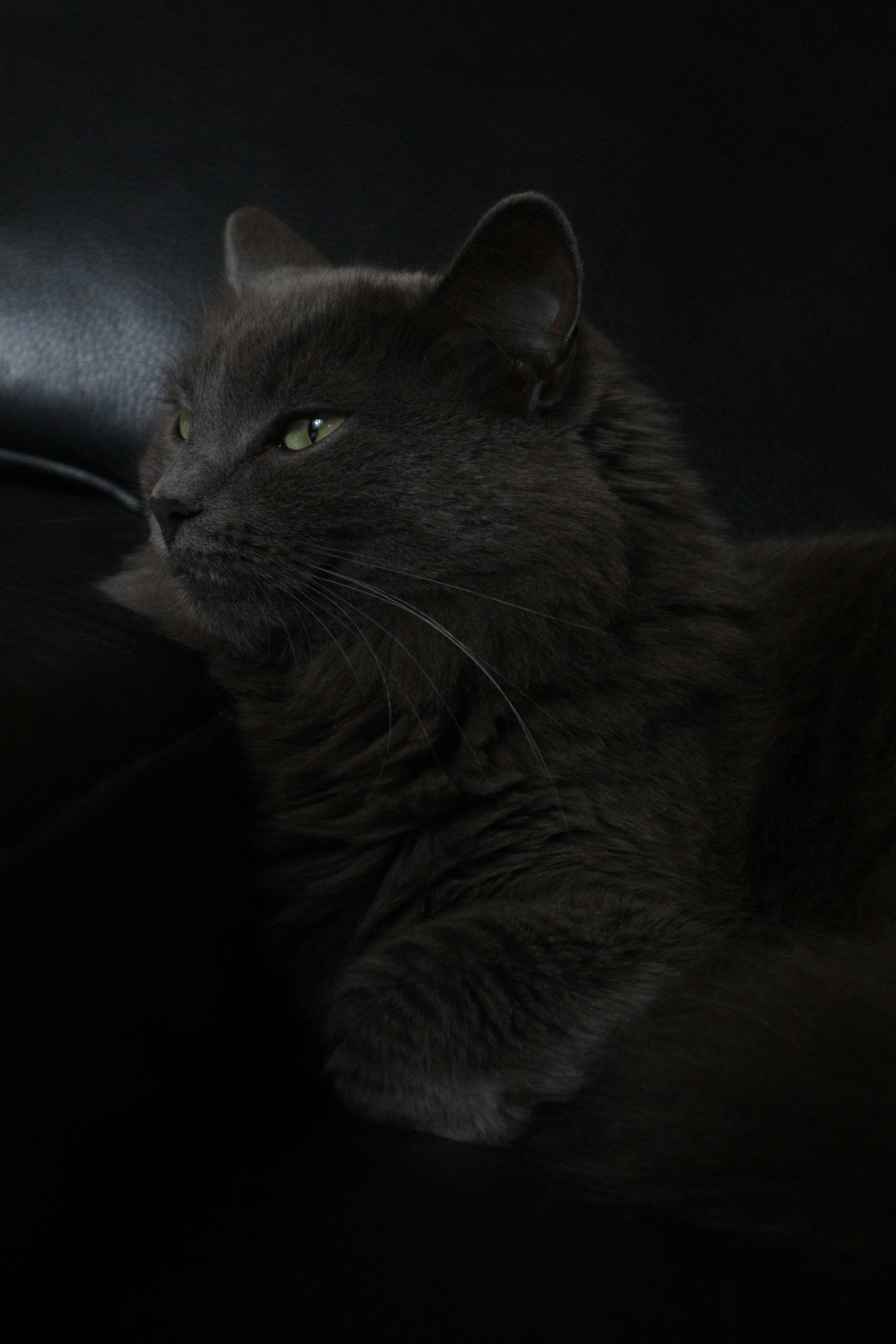 Photo by timesnewroman14