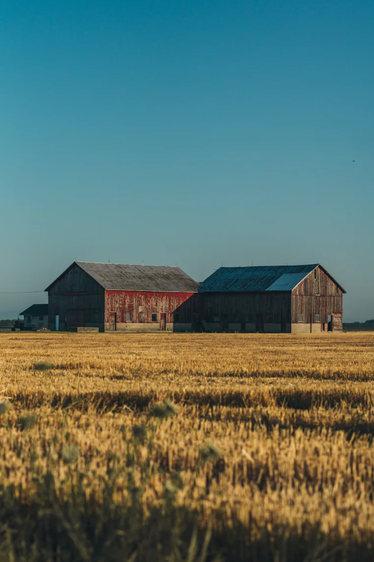 Cluster of farm buildings in a field