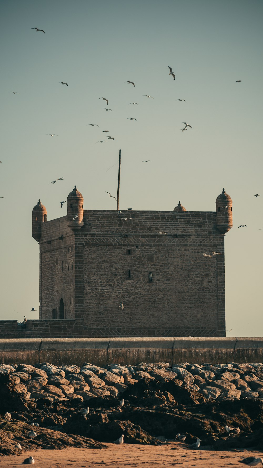 a castle with birds flying around