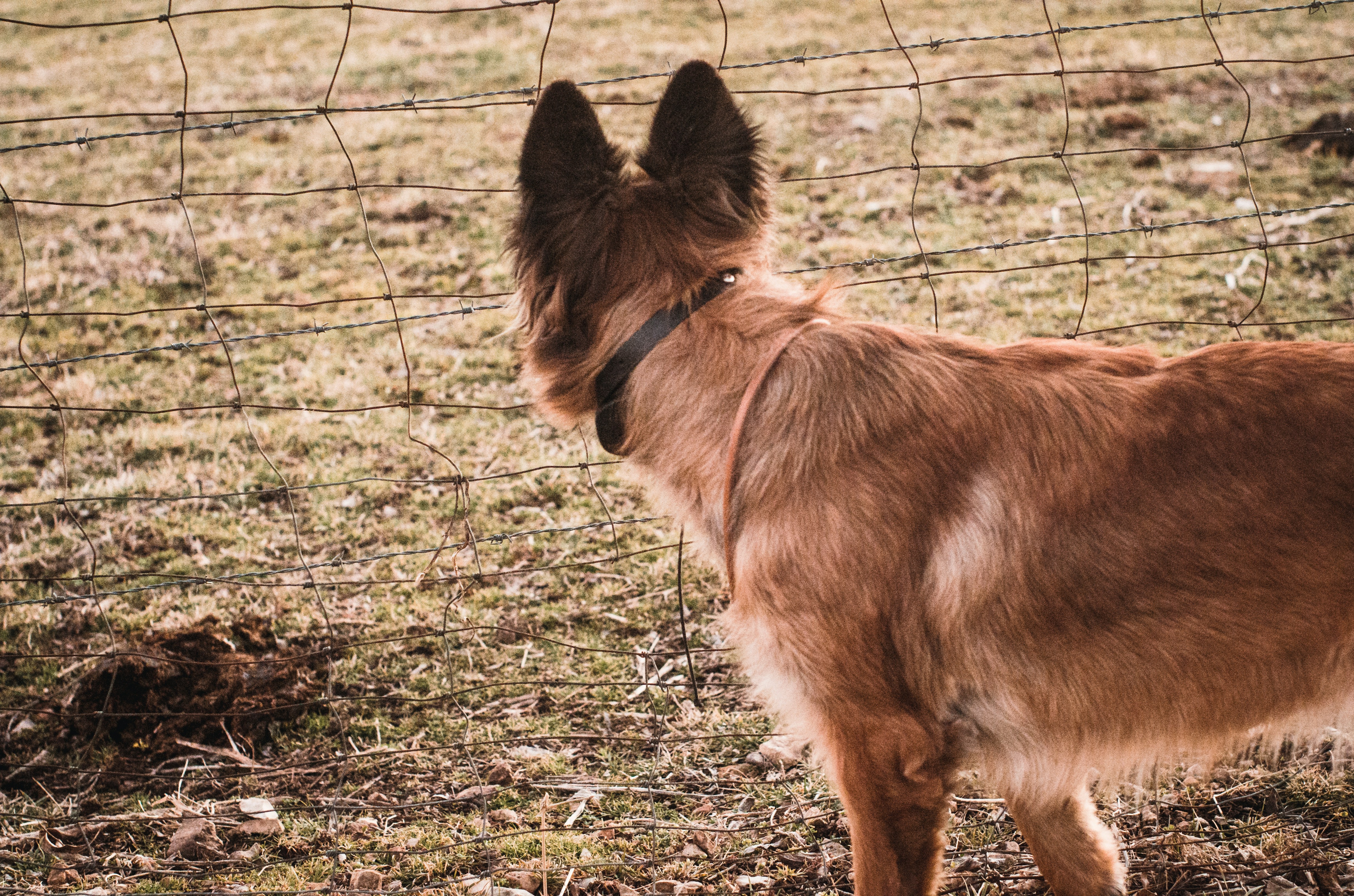VR vs AR, 뭐가 다를까? 한눈에 정리하는 개념 비교