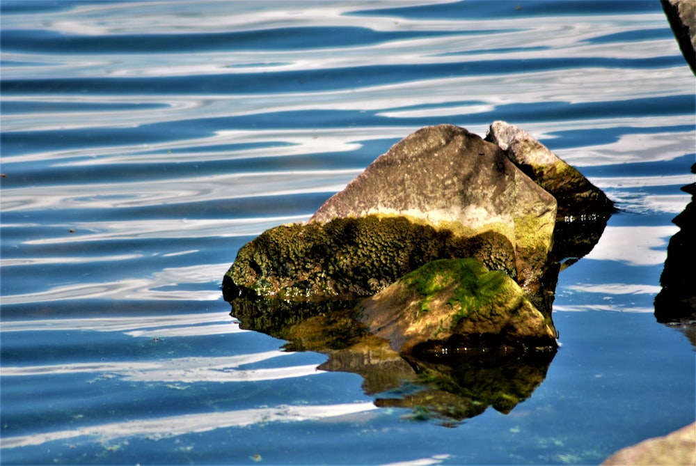 a rock in the water