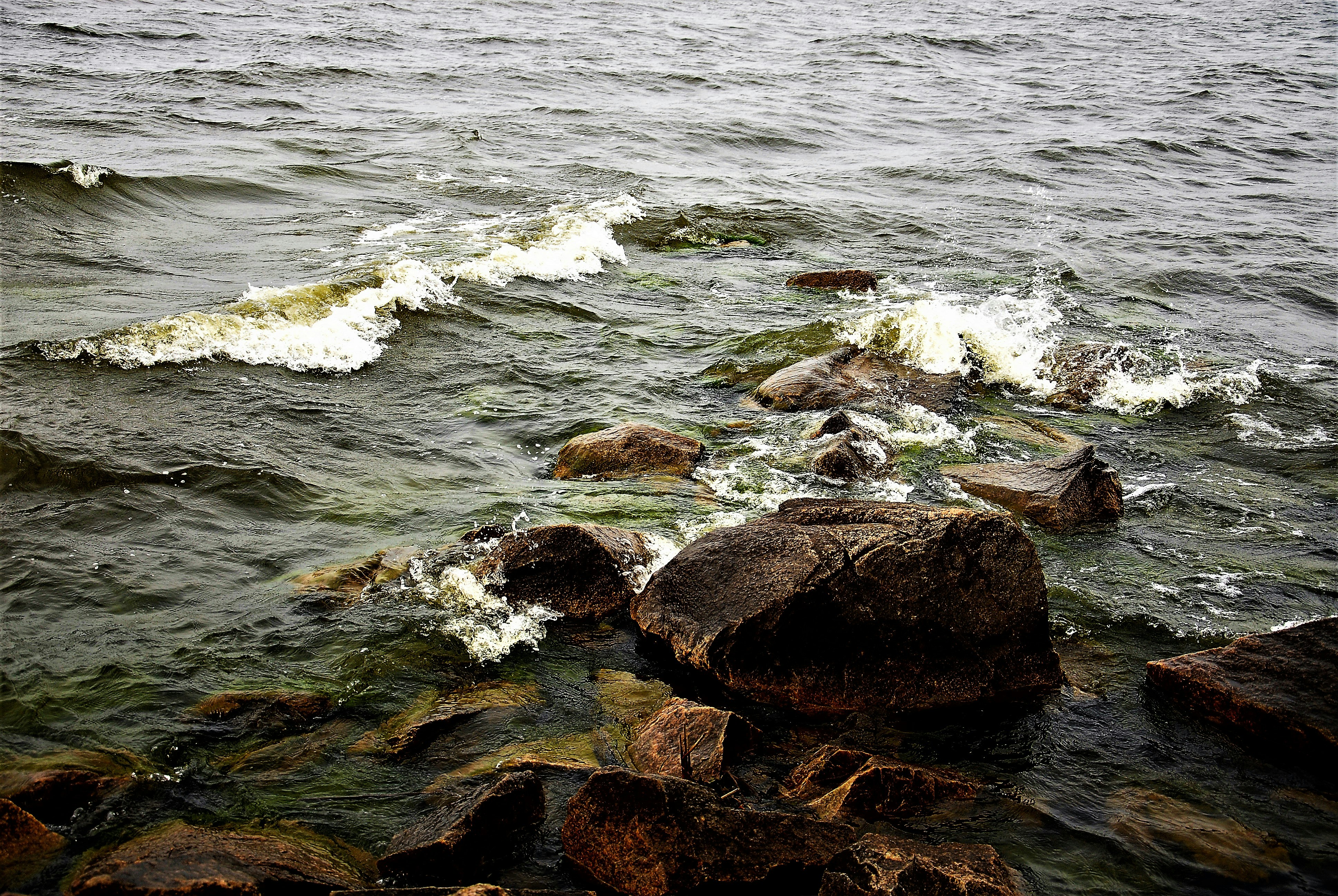 Why Social Movements Succeed or Fail