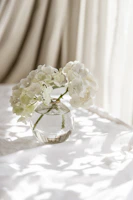 A close-up of fresh flowers in a simple glass vase, glowing gently in morning light.