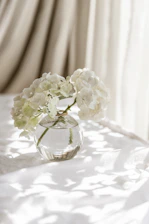 A close-up of a delicate ceramic vase holding fresh wildflowers on a sunlit table.