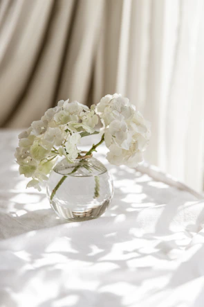 A close-up of fresh flowers in a simple glass vase, glowing gently in morning light.