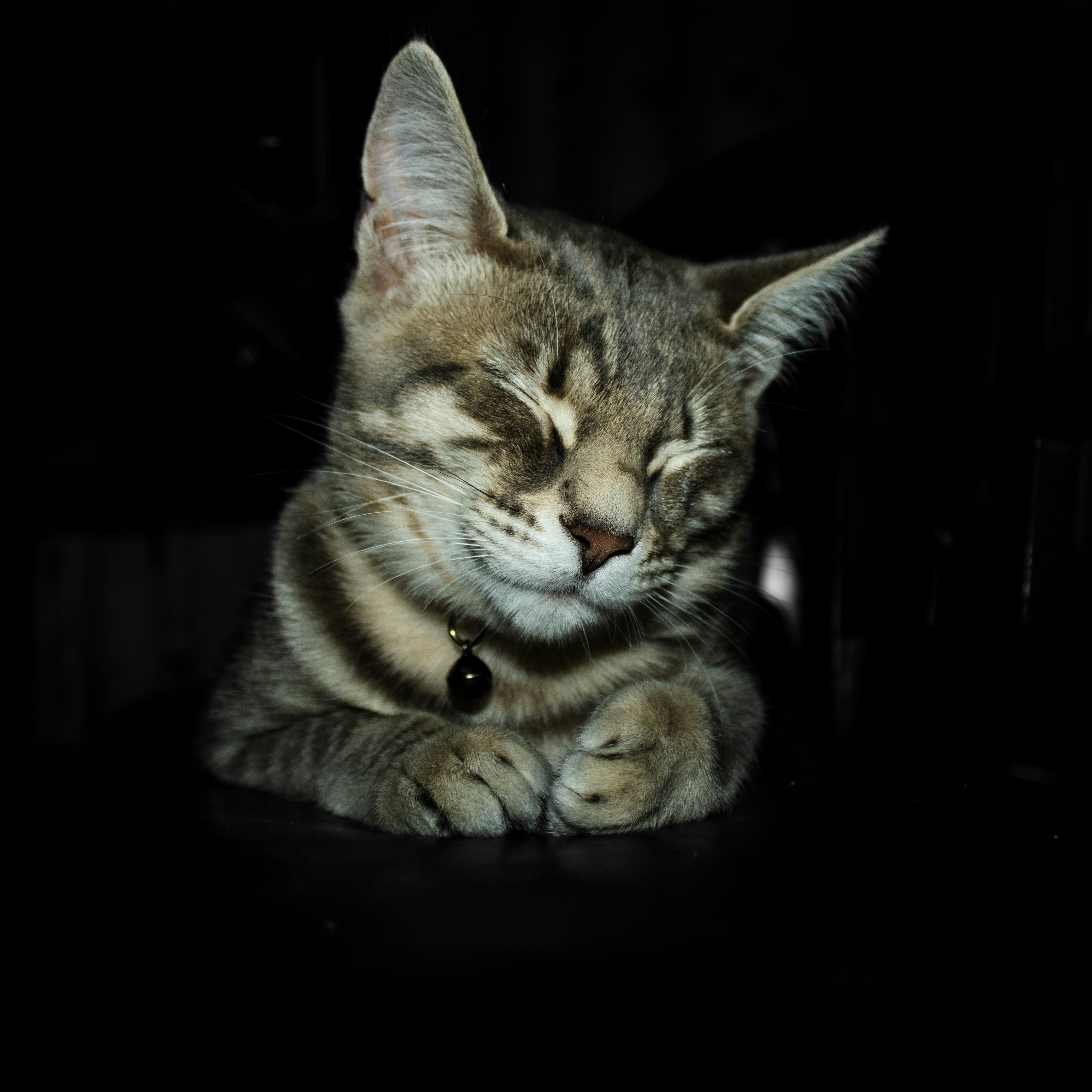 Photo by rcerdadesign