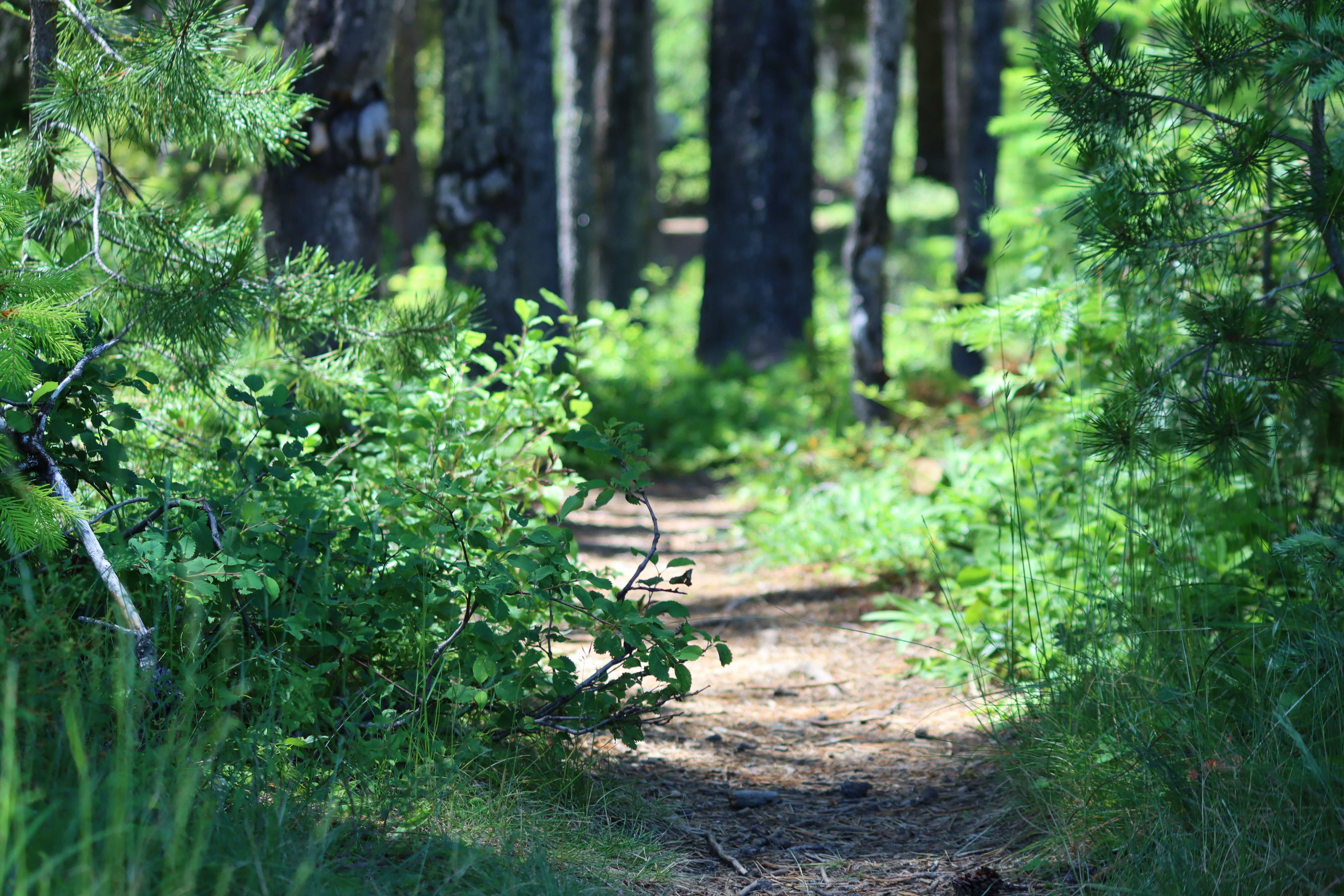 Photo by davidjboozer