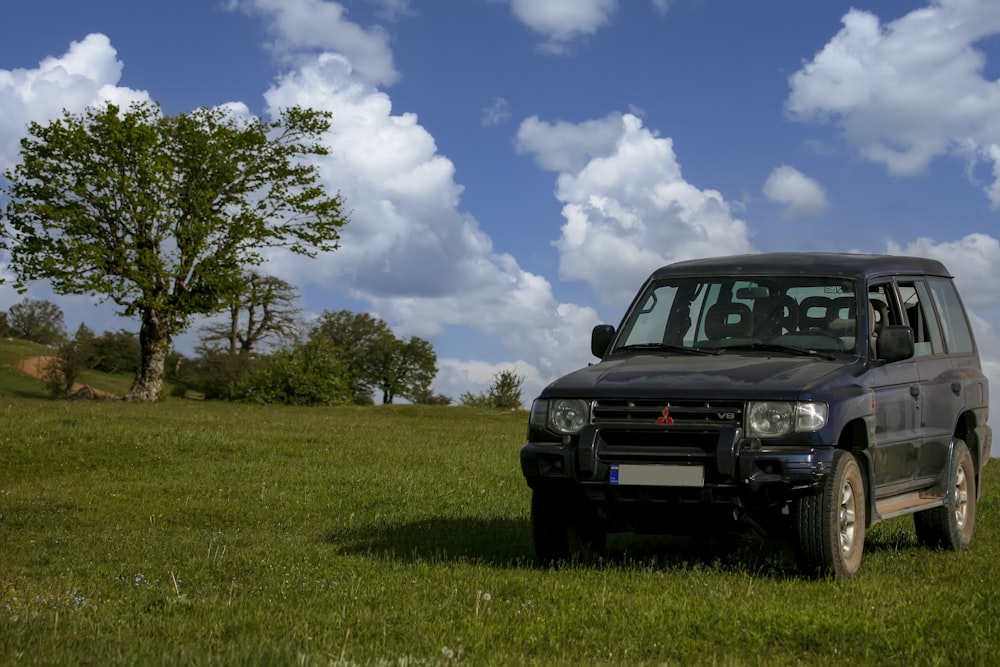 a black truck parked in a grassy field