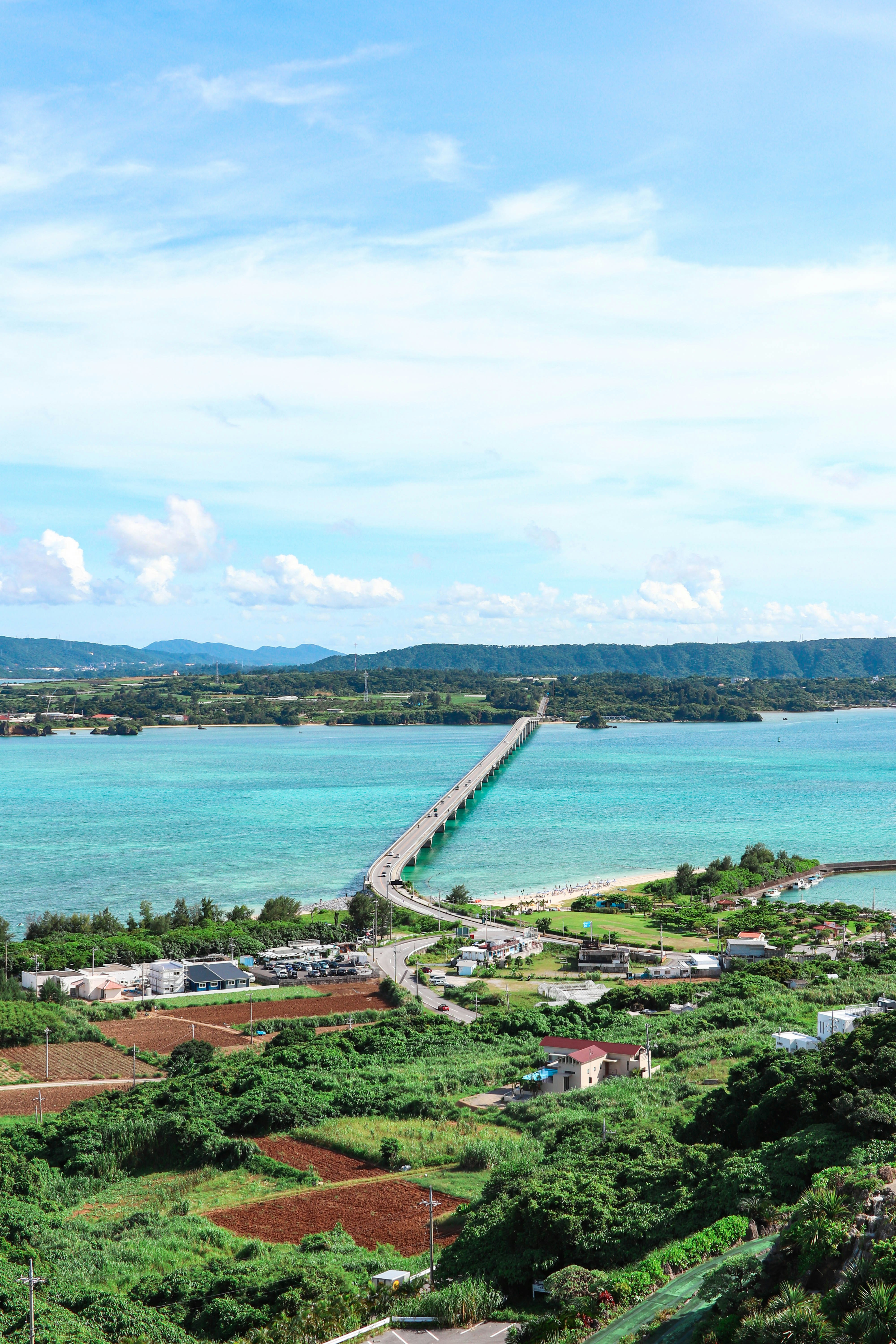 沖縄農業と再生エネルギー：ソーラーシェアリングで収益向上