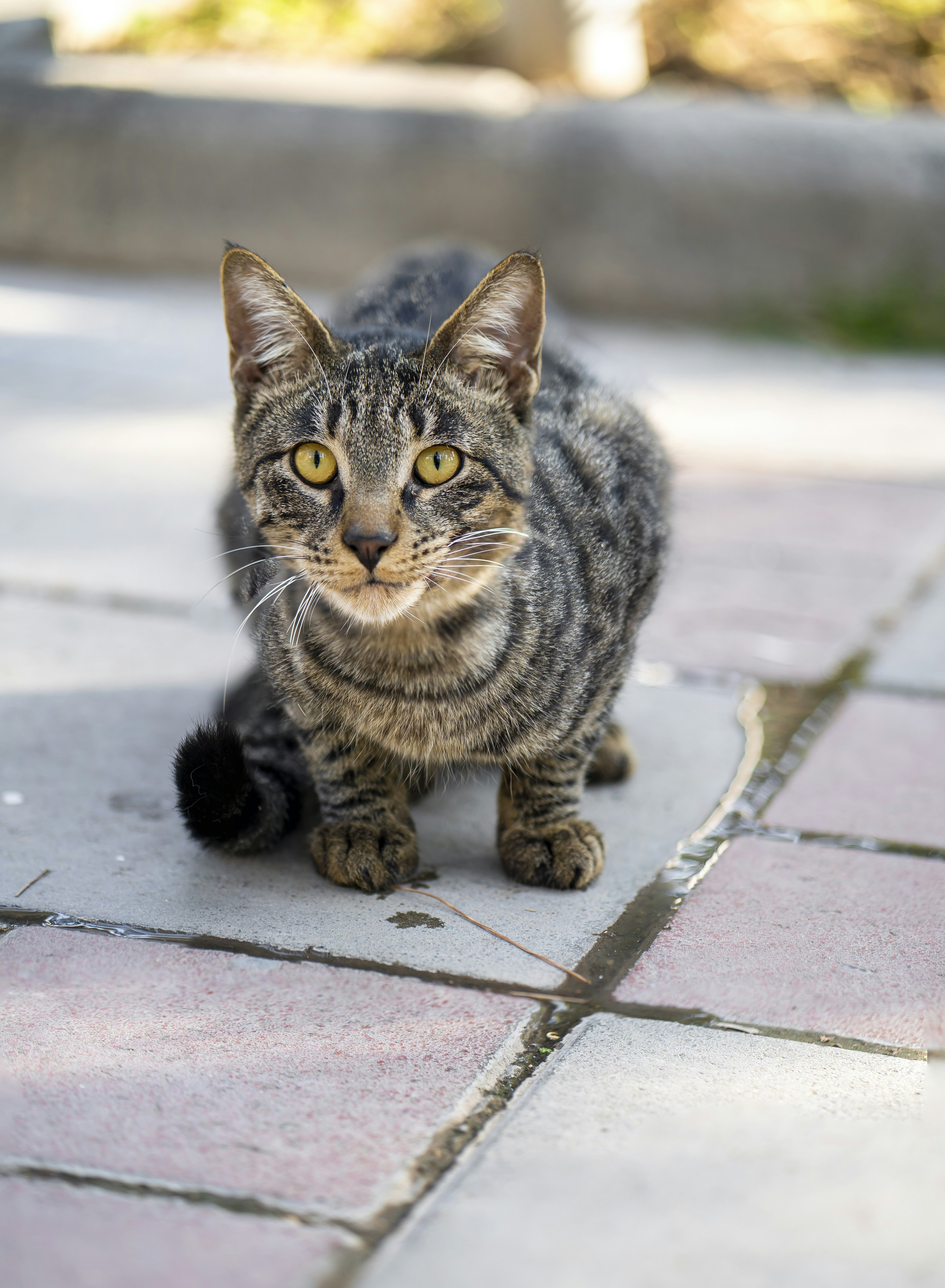 Photo by akbarnemati