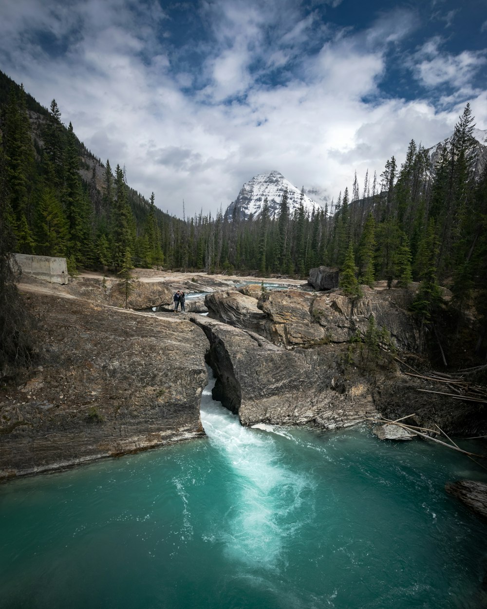 a river with a waterfall and trees