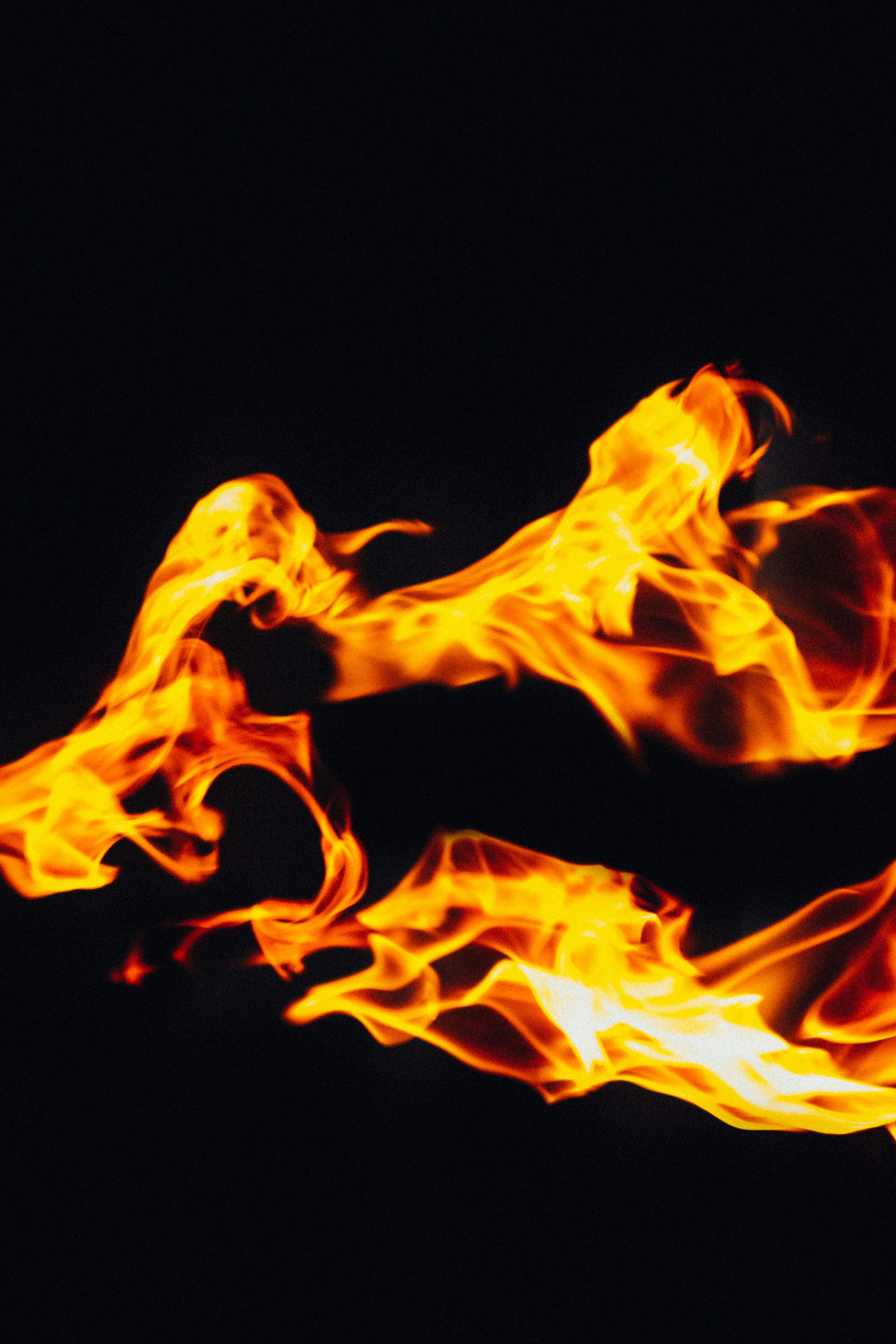 Photo by sam_badmaeva