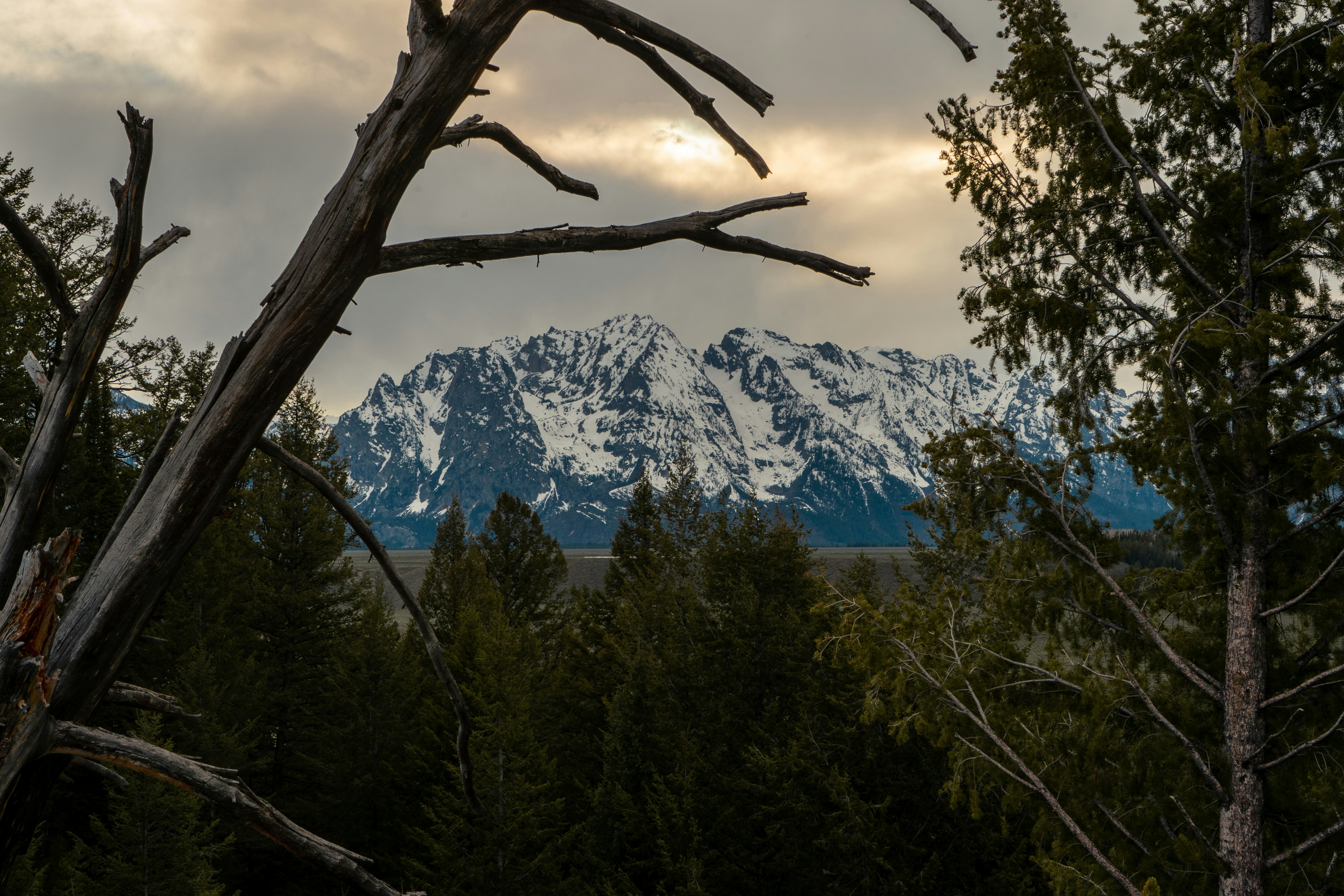 a snowy mountain range