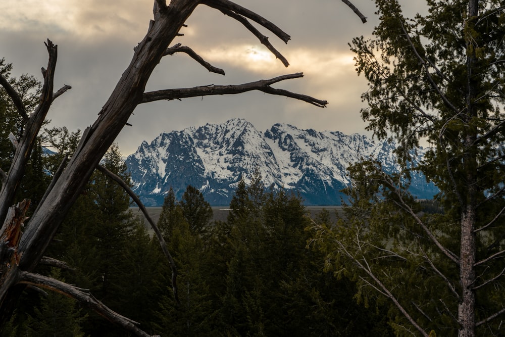 a snowy mountain range