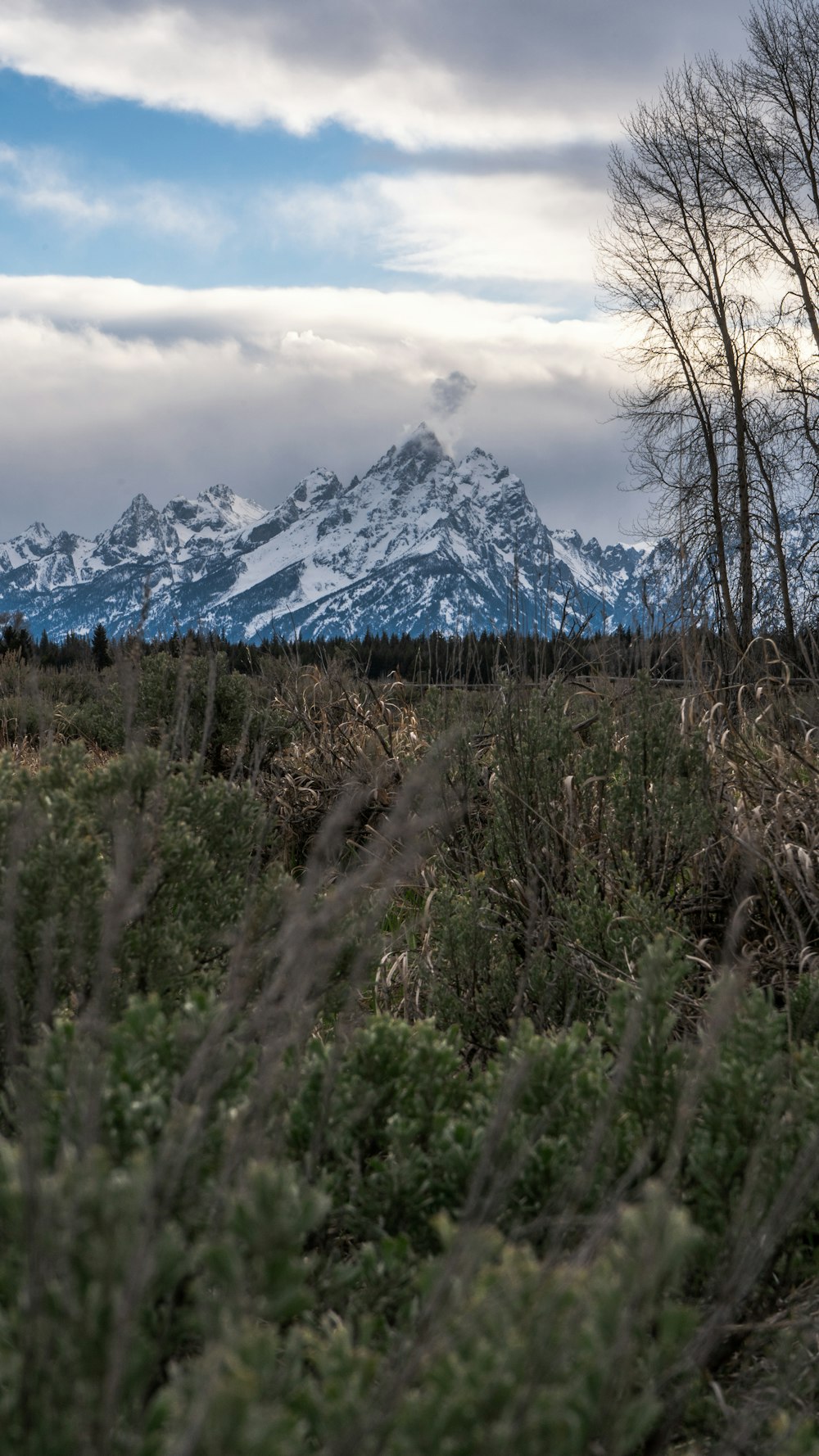 a snowy mountain in the distance