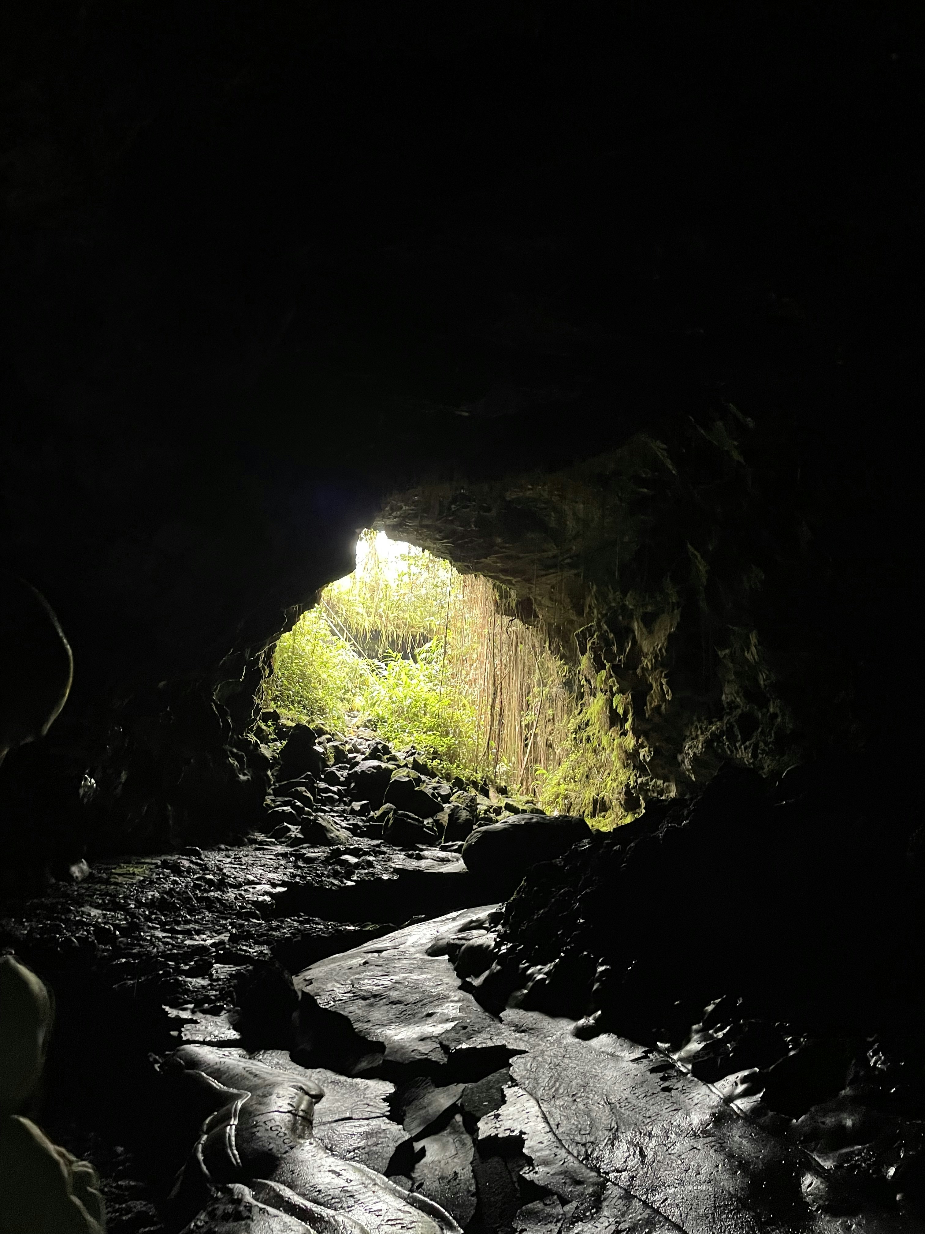 Tunnel de lave à La Réunion.