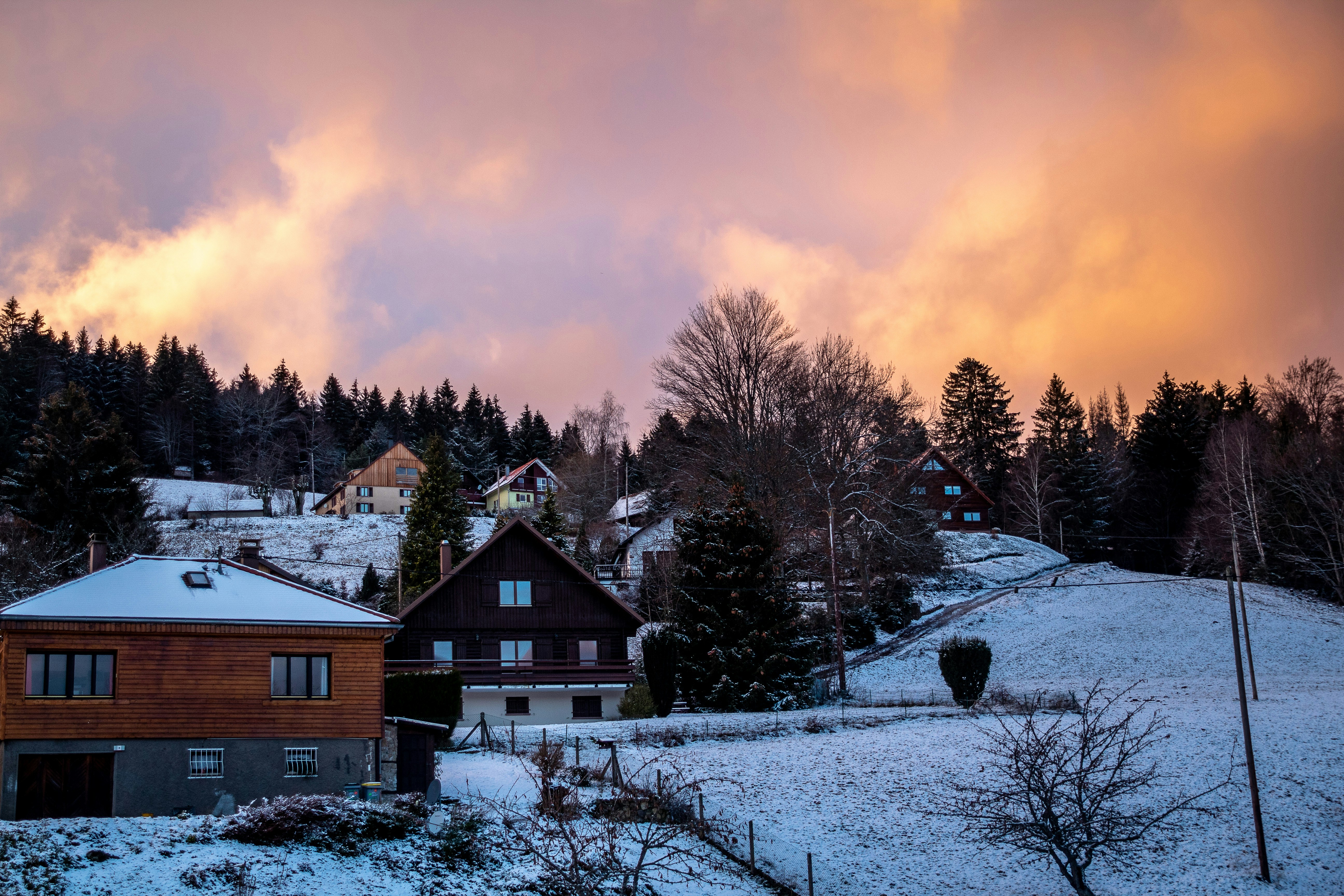 Photo by photographybymat_26