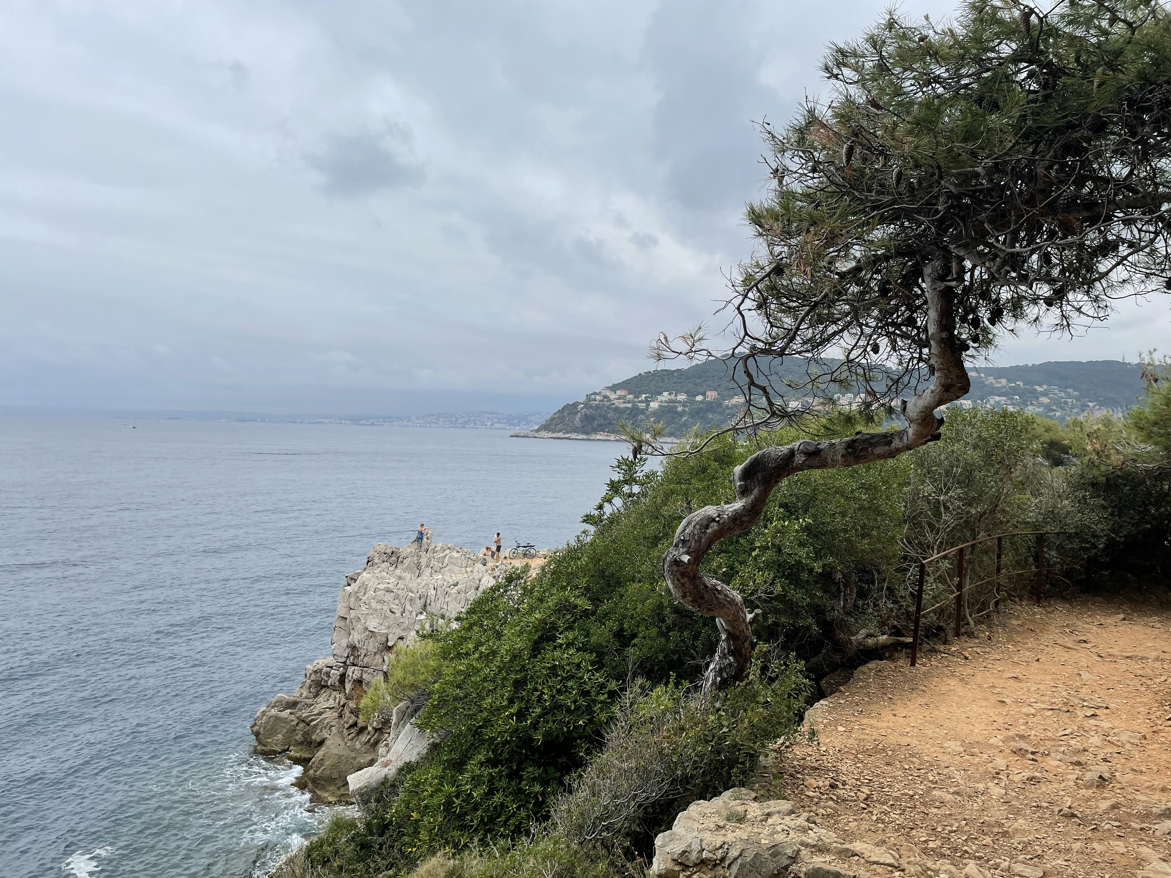 Photo by nicoletadobarleanu