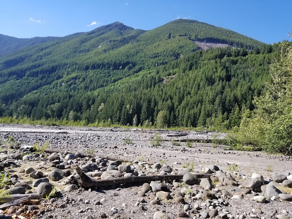a rocky river bed with trees and mountains in the background