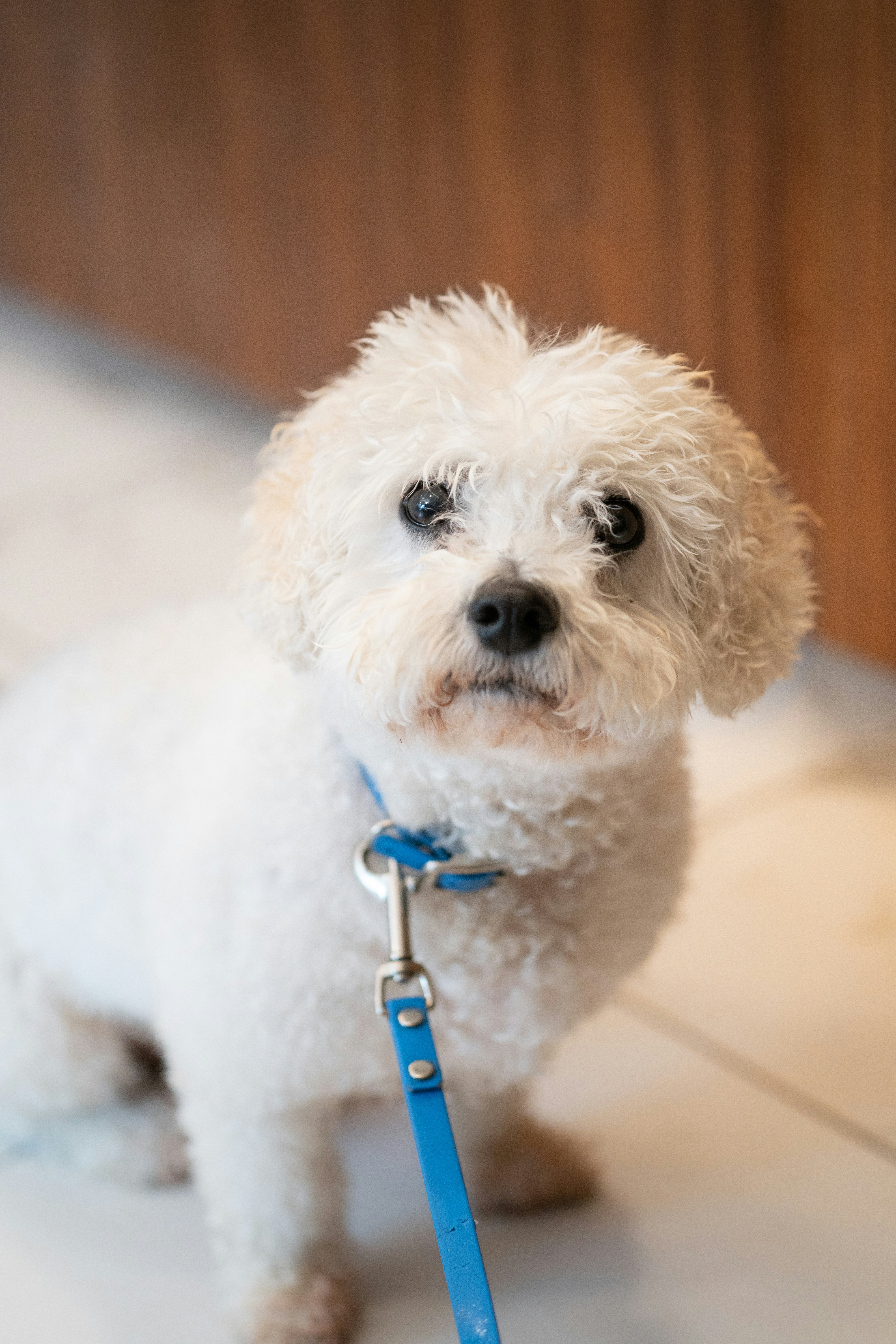 Photo by cole_wyland_24