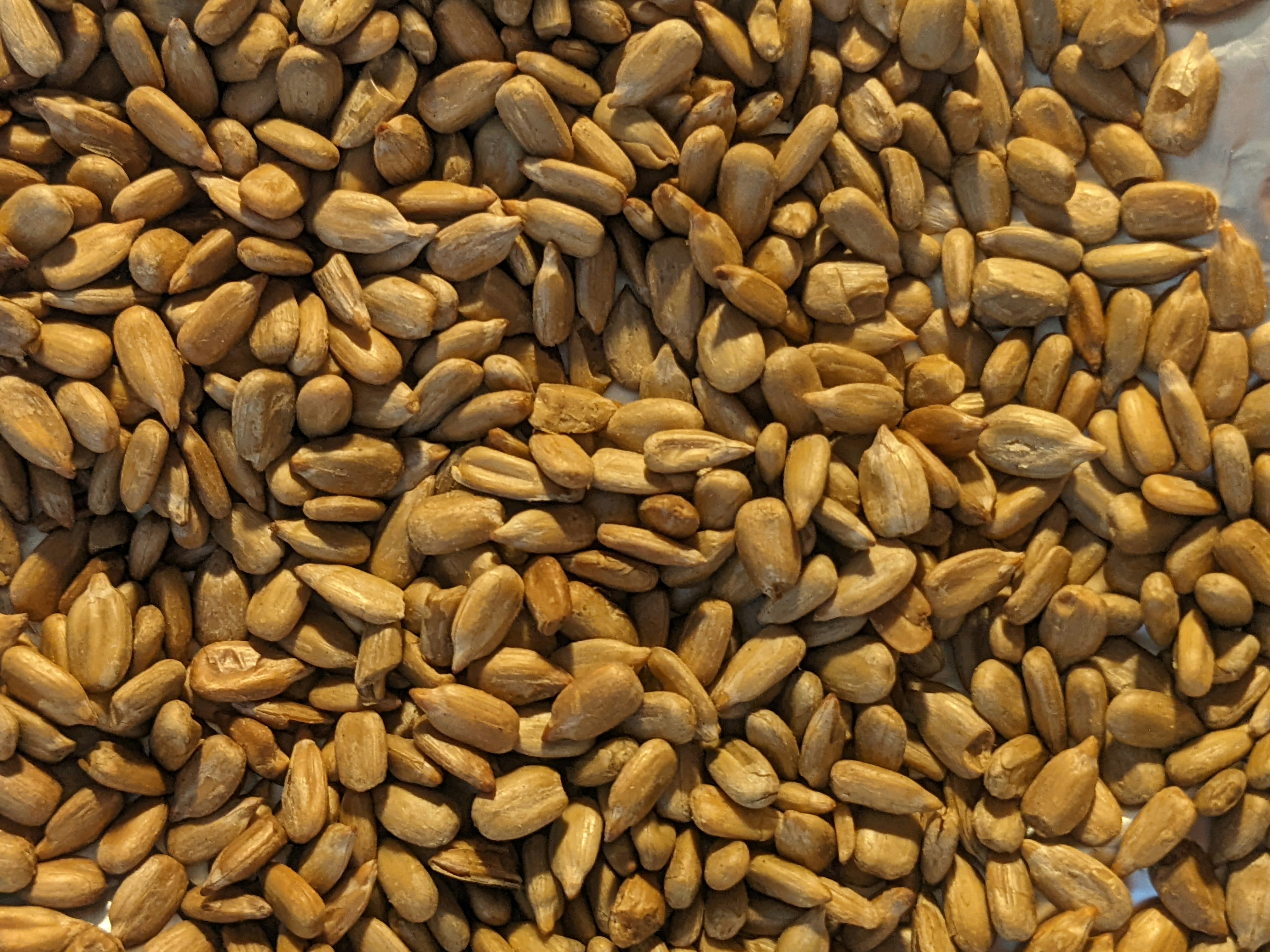 Authentic Roasted Makhana Snacks