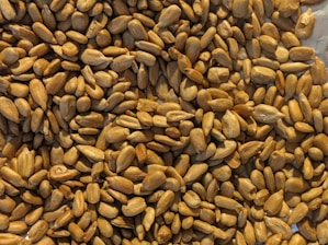 A close-up view of a large quantity of roasted sunflower seeds, showcasing their tan and brown hues, rough textures, and oval shapes.