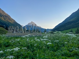 A scenic view of a lush green meadow filled with small white flowers, bordered by towering mountains under a clear blue sky. Prominently displayed in the foreground is a large sign with the text '#GALT&Uuml;R' with a clear view of a distant peak in the background.