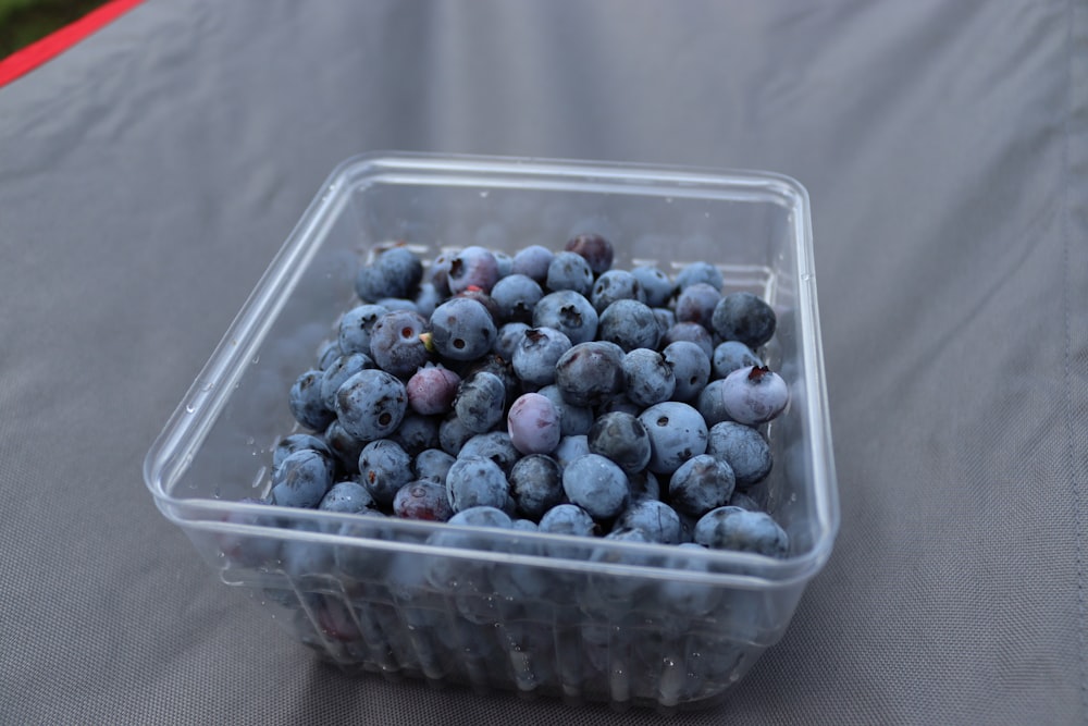 a bowl of blueberries