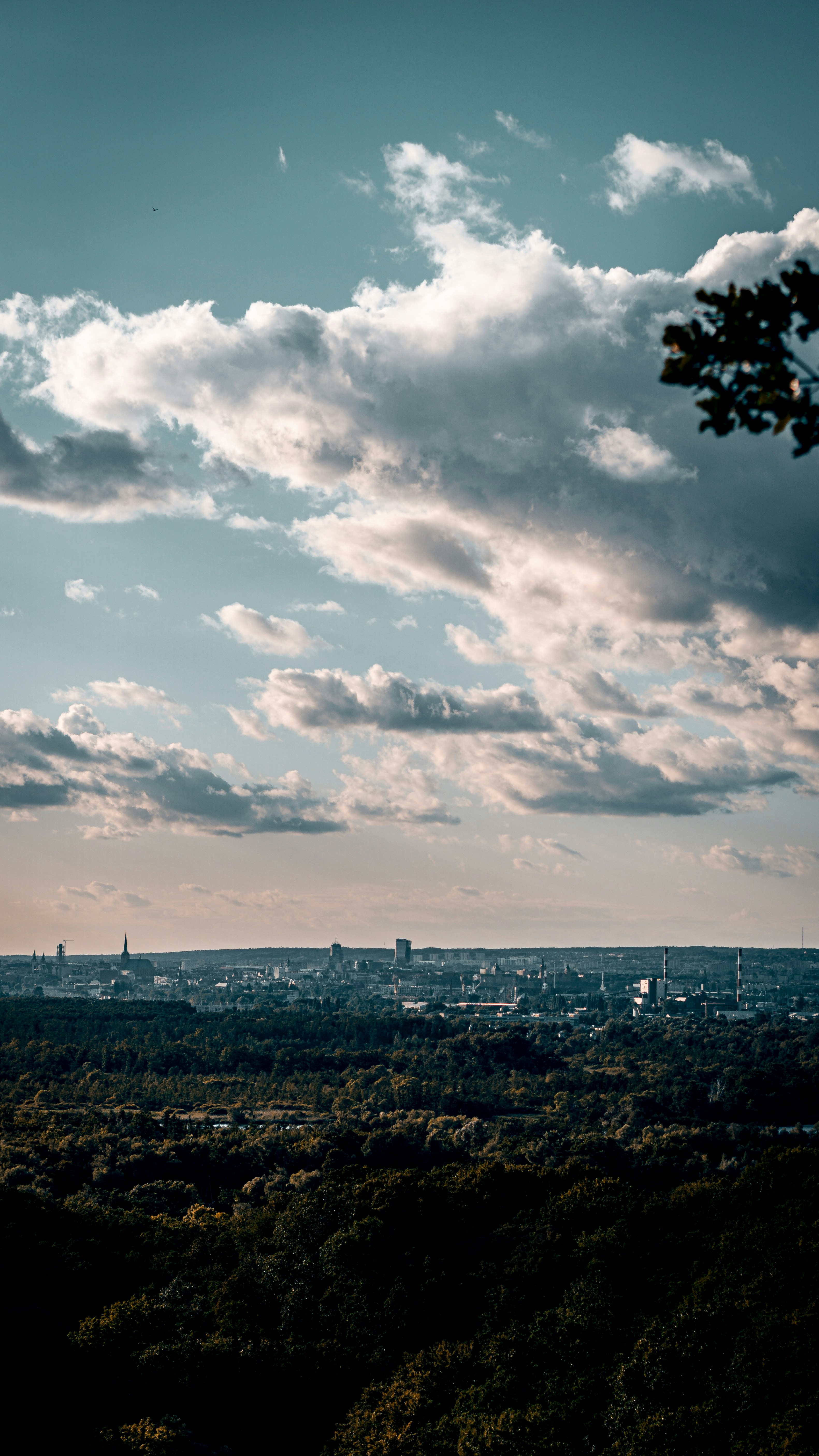 Photo by bielej