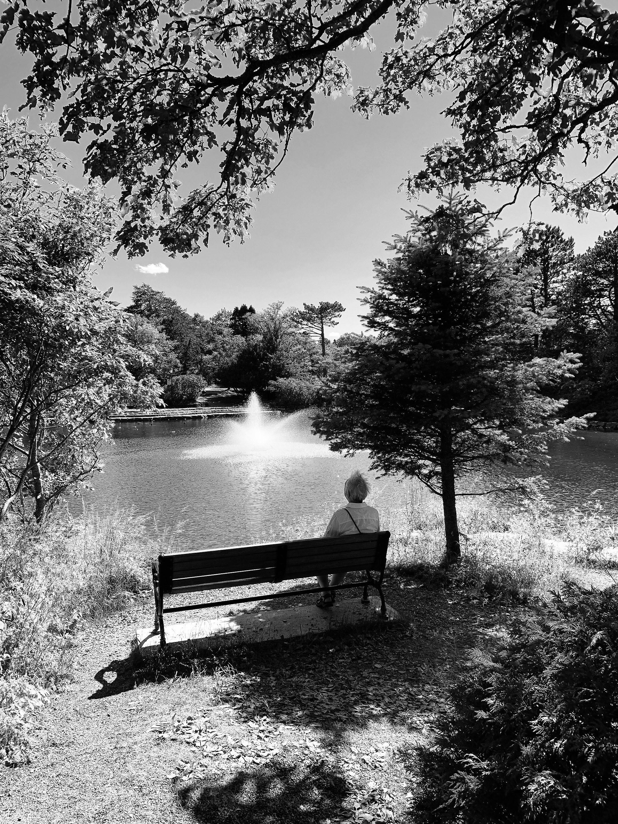 a person sitting on a bench